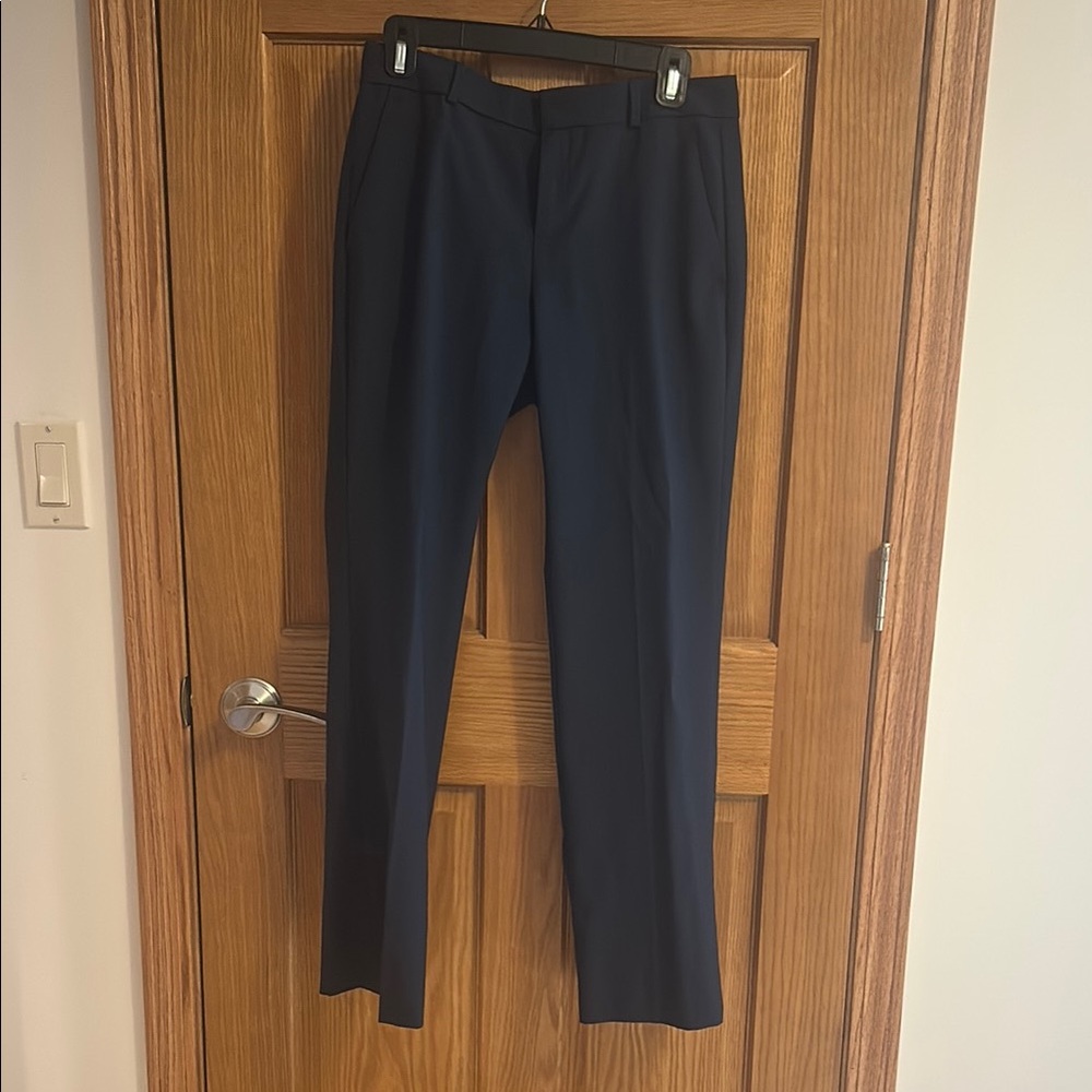 Banana Republic Blue Trousers Flat Front Straight Leg